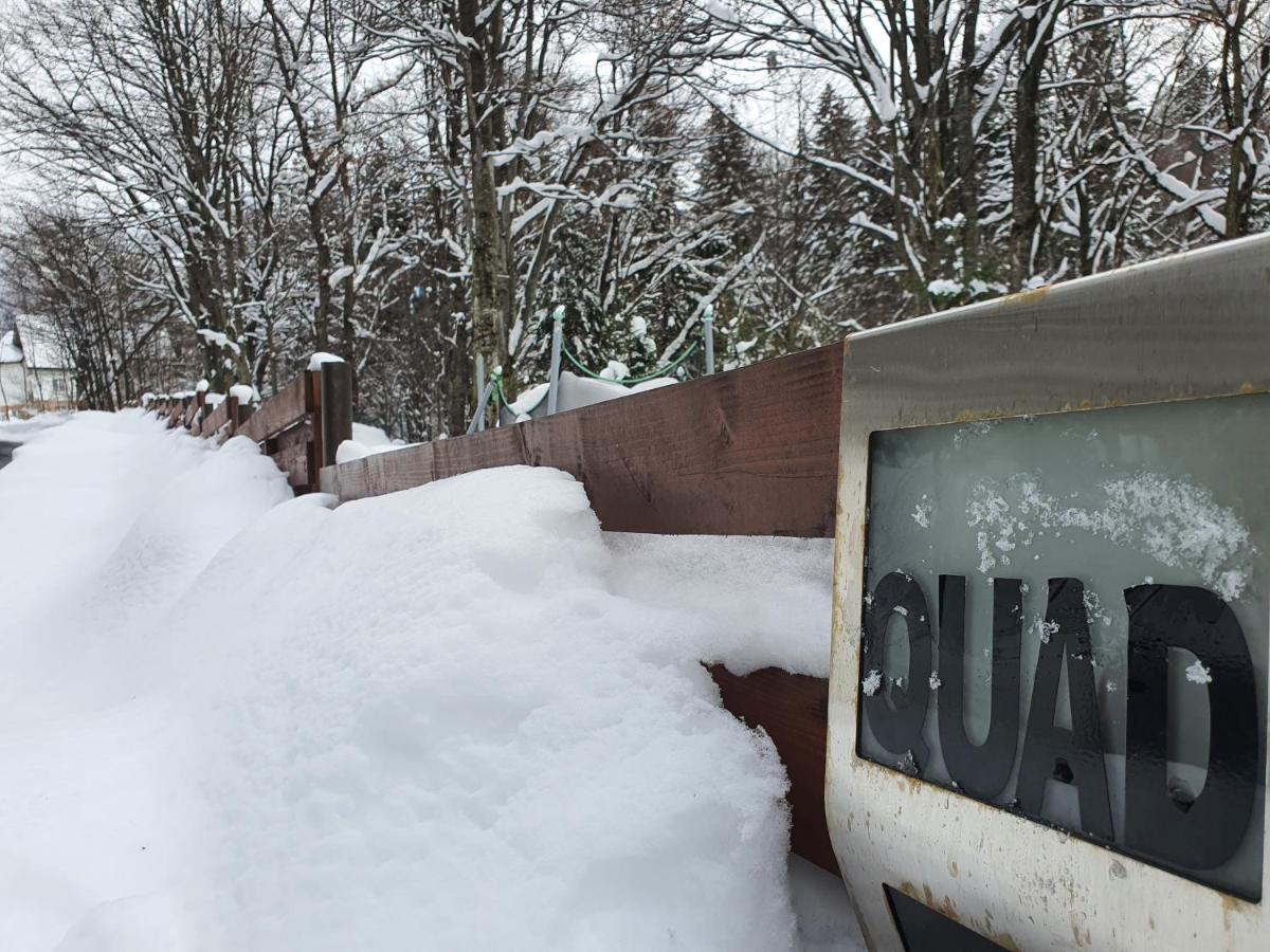 Villa Quad Poiana Brasov Εξωτερικό φωτογραφία