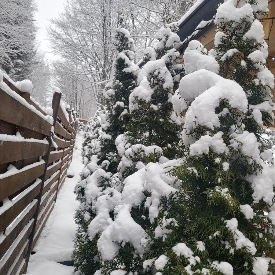 Villa Quad Poiana Brasov Εξωτερικό φωτογραφία